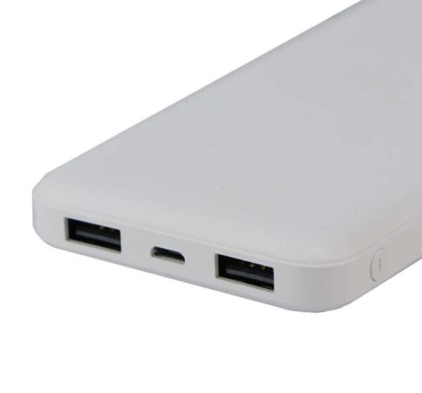 VERITY V-PU108 10000mAh Power Bank